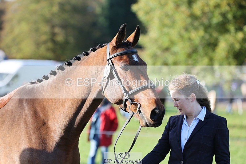 241027-091505-15157 - 360-Annalise.Olson-ROSS.DUFF.REILLY