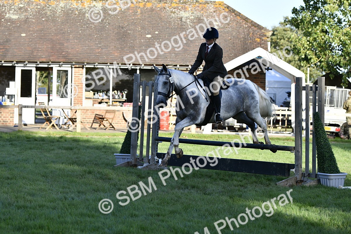 SBM_53551 - S14 - Riding Club Horse