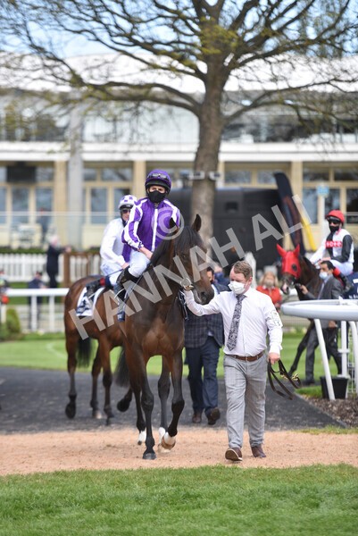 yr13052021r4-27 - Race 4 3.10pm Al Basti Equiworld Dubai Dante Stakes