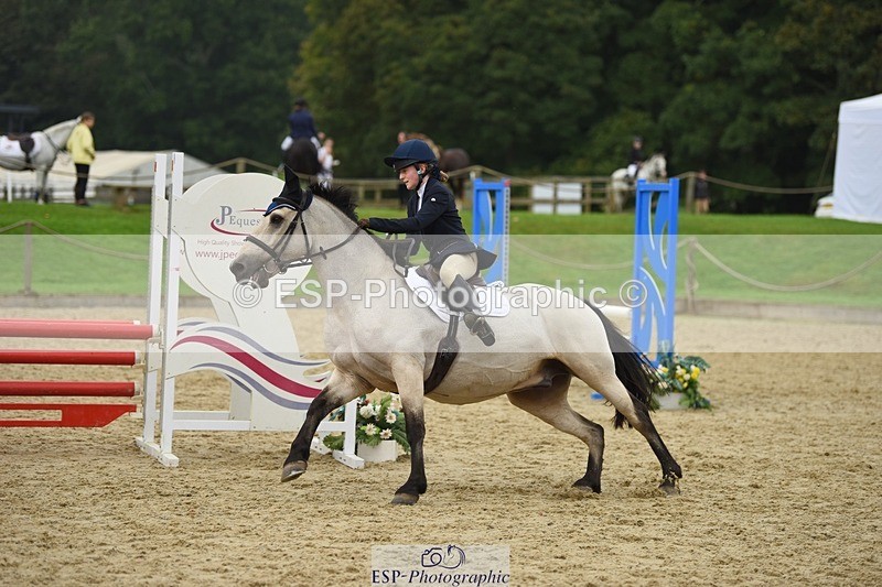 231001-123742-02454 - Cls 2 80cm 12.20 to End