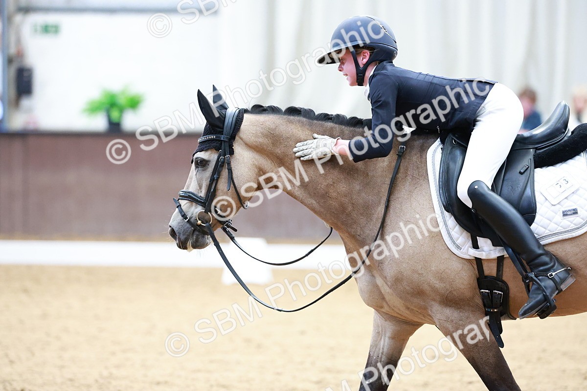 SBM_017250 - Class15 - FEI Pony
