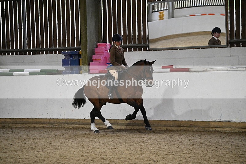 WJ7_4406 - Class 17 Ridden Cob