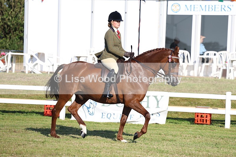 3E7A4906 - Class 1: Rising Star Small Hack/Riding Horses