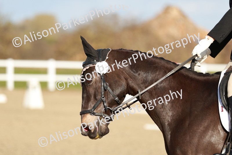 20260314-5395 - DR4 - Prelim 2