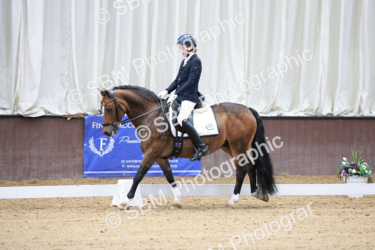 SBM_017139 - Class15 - FEI Pony