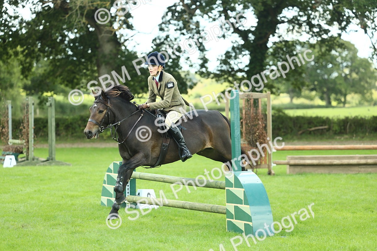 SBM_42911 - S30 - M&M Working hunter Pony