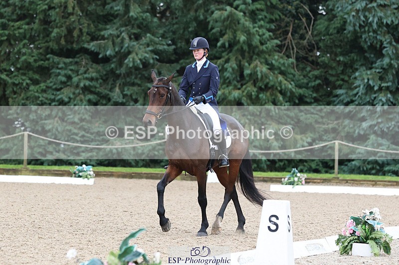 241024-092800-01285 - 205-Alderney.Street-KYTANO