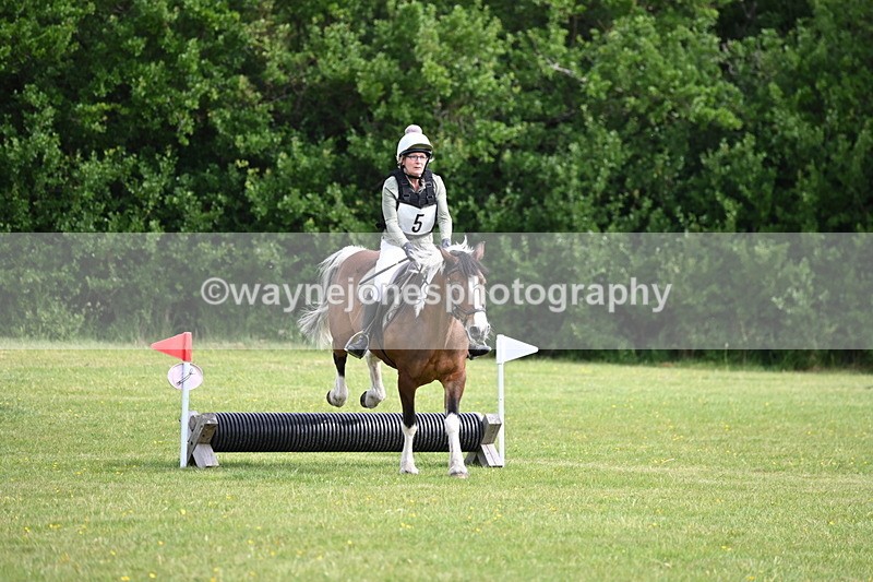 WJ6_2310 - Class 2 40cm