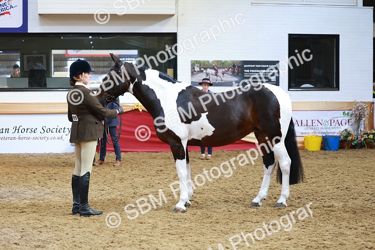 SBM_09804 - Class 102 - HOYS Veteran Qualifier - Ridden Veteran