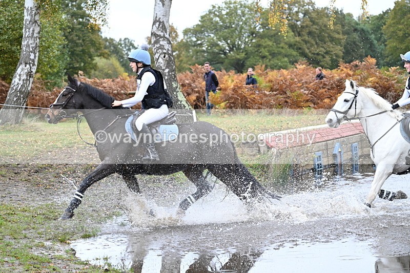 WJ7_2272 - 80cm Cam 2 Pairs Time 12:18 to 12:43