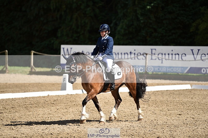 140110A-050214-12354 - 158-Alison.Crimp-Crwys.Beau