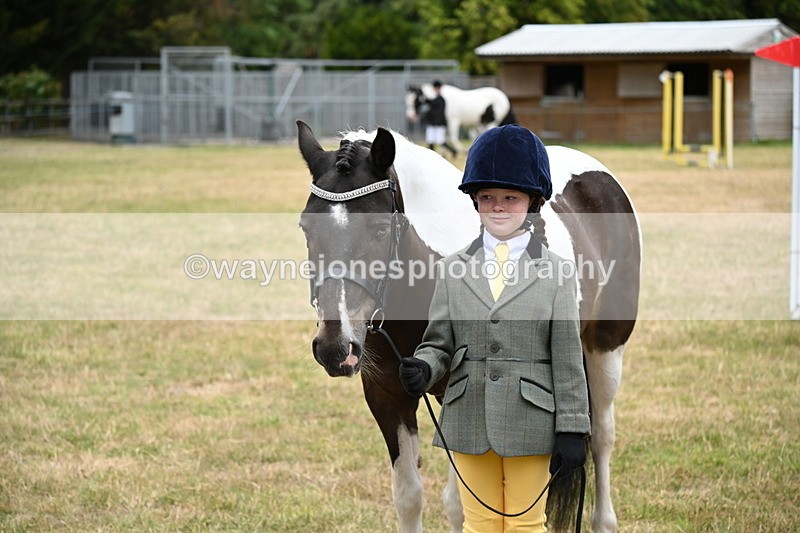 WJ6_4422 - Class 10 Coloured In-hand
