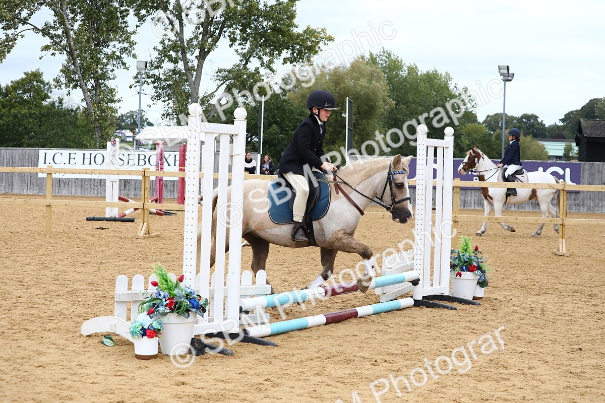 SBM_68168 - J3b - Mini Tour Junior Pony 40cm Championship