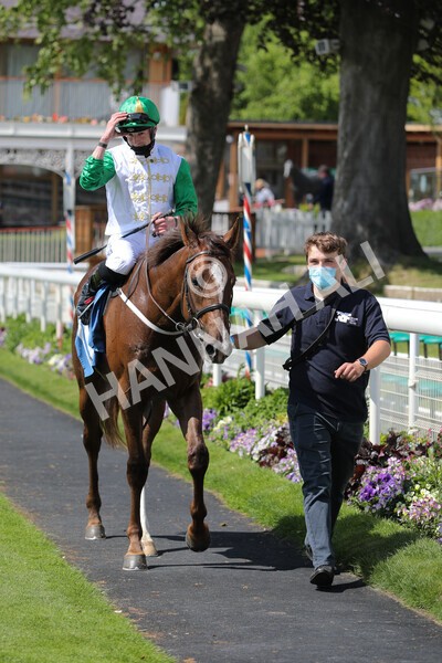 yr11062021r3-36 - Race 3 2.55pm SKF Rous Selling Stakes