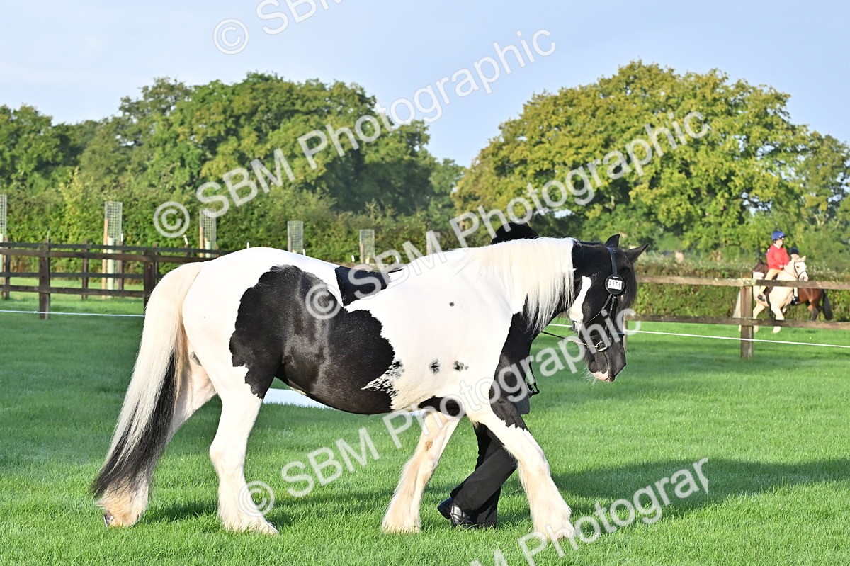 SBM_32541 - S15 - Top Turnout In Hand