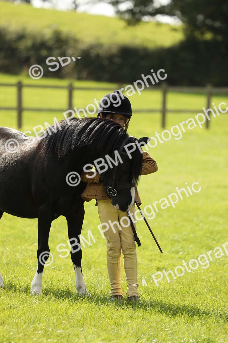 SBM_67843 - S39 - Junior Handler 8  Years & Under
