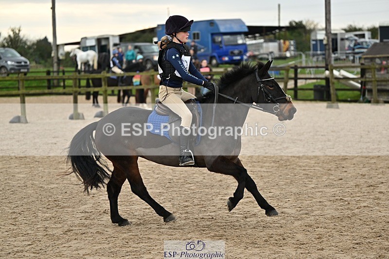 241110-135407-00970 - 60-65cm Arena Eventing