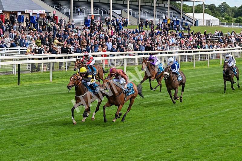 120626-Race 4-Big Negotiator-0228 - Race 4 15.35pm Juddmonte EBF Fillies' Restricted Novice