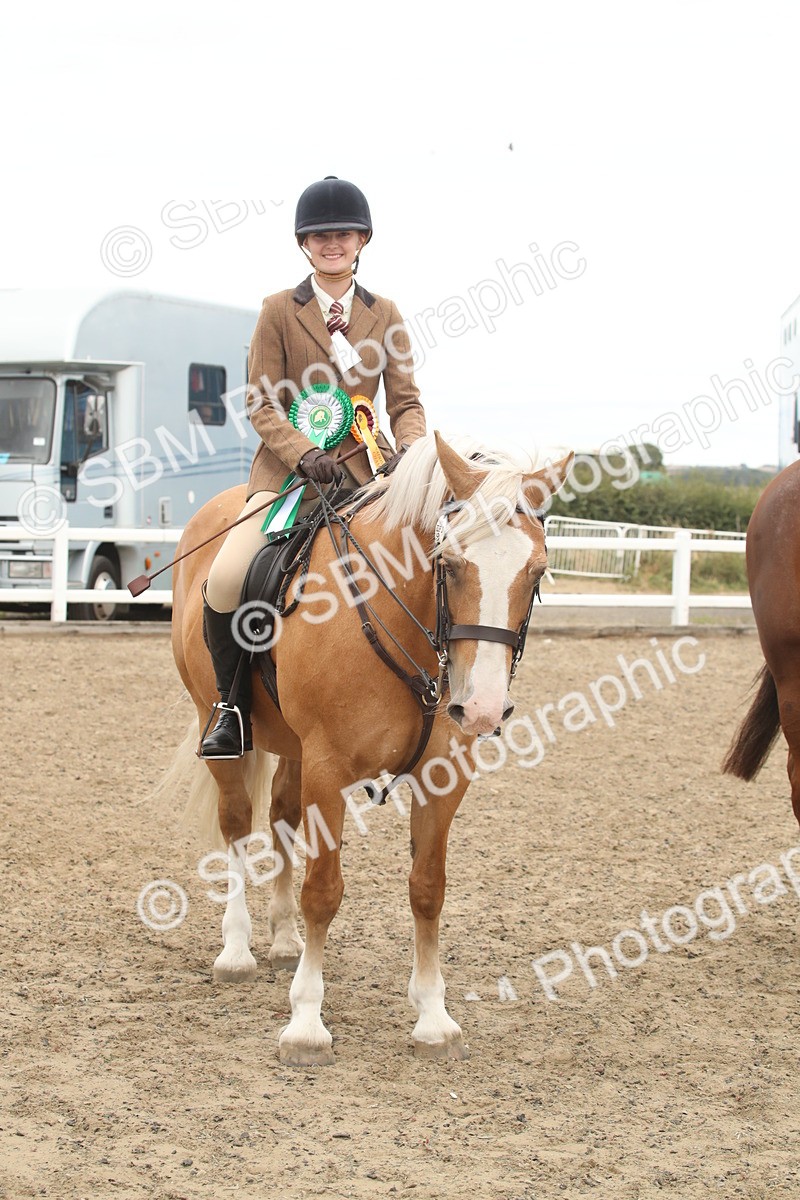 SBM_18313 - Class 509a - Working Veteran - 80cm (15-19)