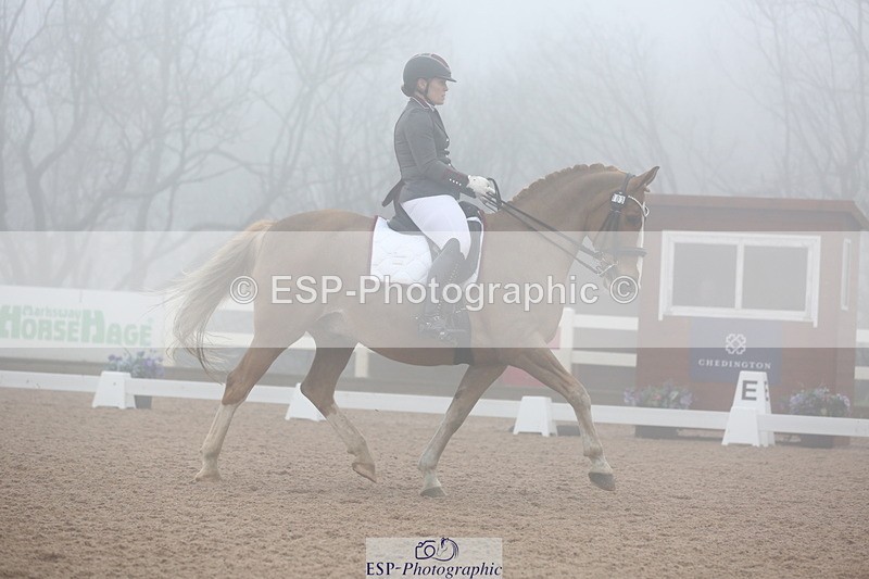 240217A-125612-02988 - 103-Ruth.Saunders-Dizzy.Rascal.VII