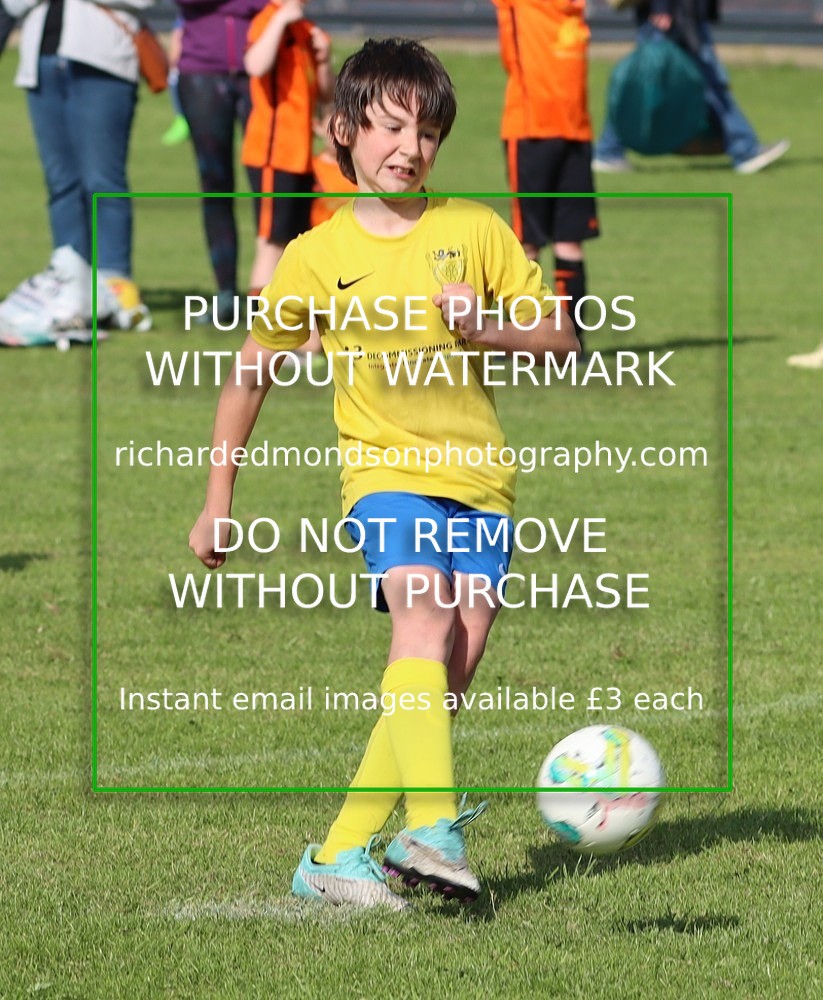IMG_7417 - Whitehaven Amateur Blues