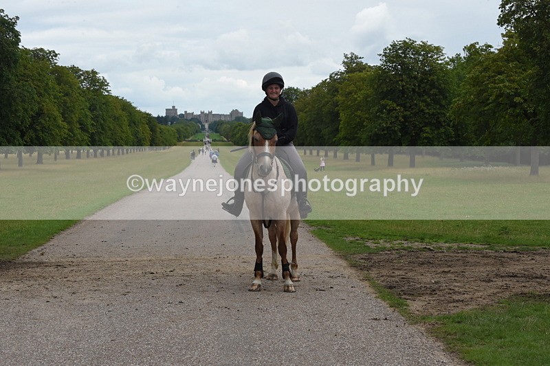 TT3_9961 - Time at Crossing 13:17 to 14:48