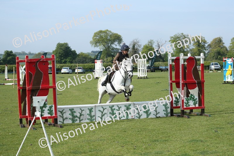 20260426-0218 - Class 13 - Rookie Jumping 50cm