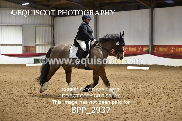 BPP_2937 - ELEM TEST 4