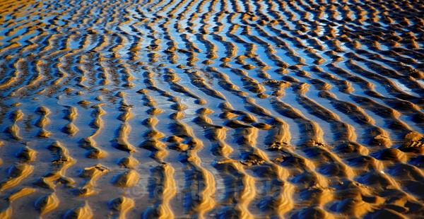 Holkham 11 - Beachscapes