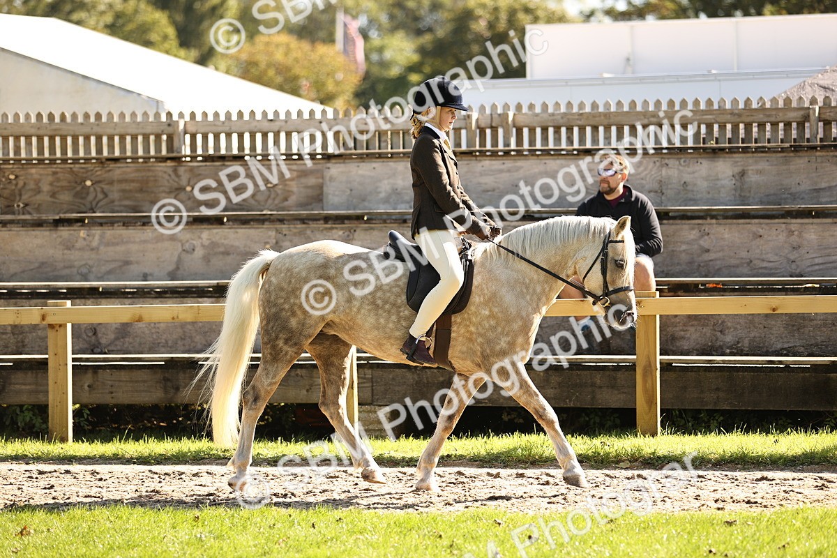 SBM_19072 - S3 - TSR Ridden Pony Showing