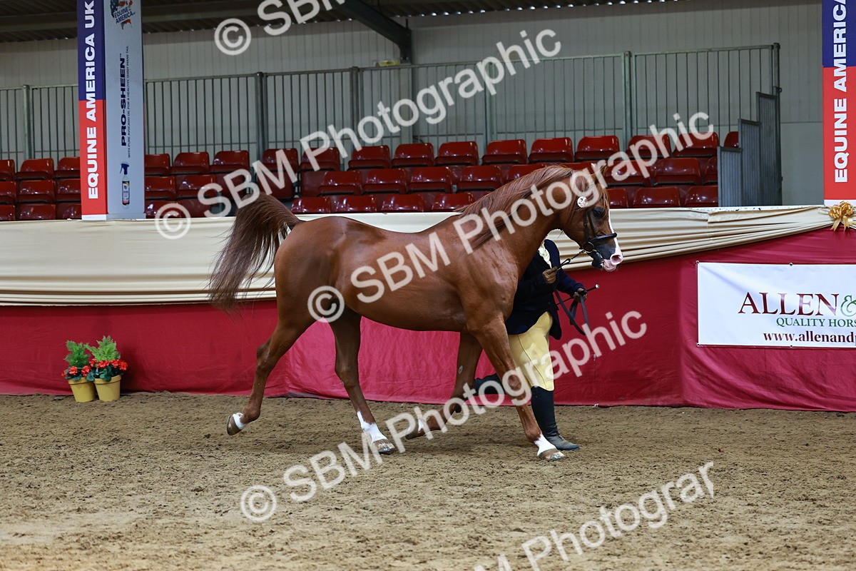 SBM_23020 - Supreme Final - IH  Champ