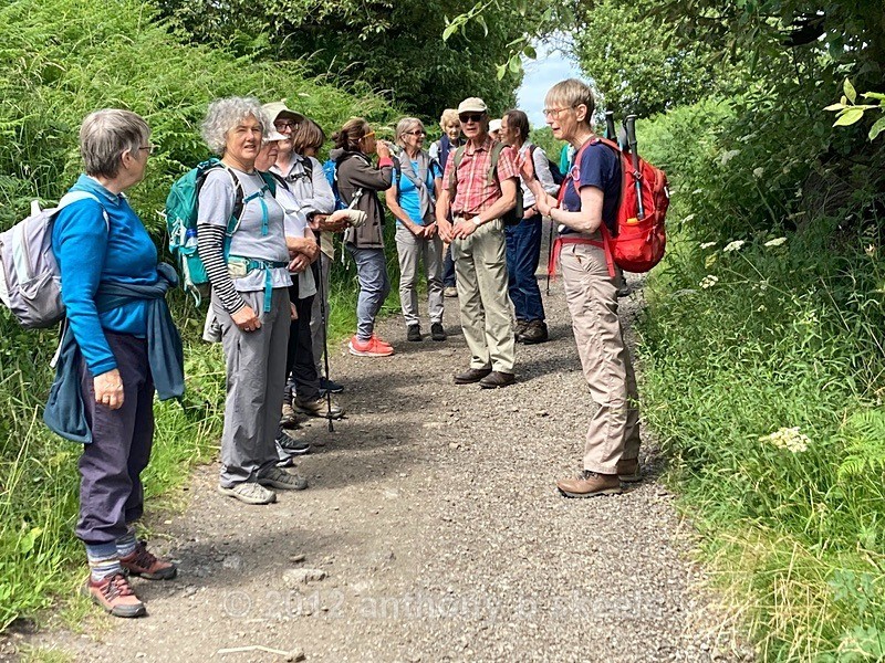 059 Regrouping for the slower walkers - York Minster Walkers Collection 2023