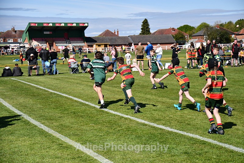  - Selby Rugby Festival 2025