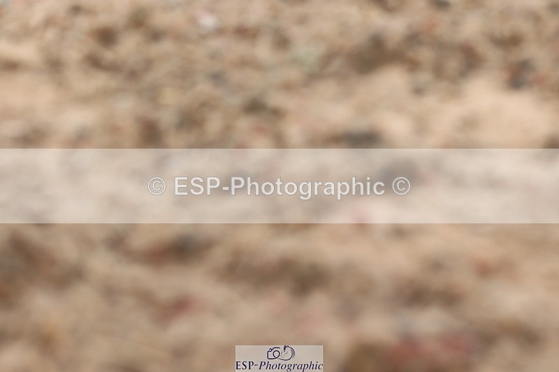 250622-132354-16689 - Cls 50 Elementary 5, 13.10 to End