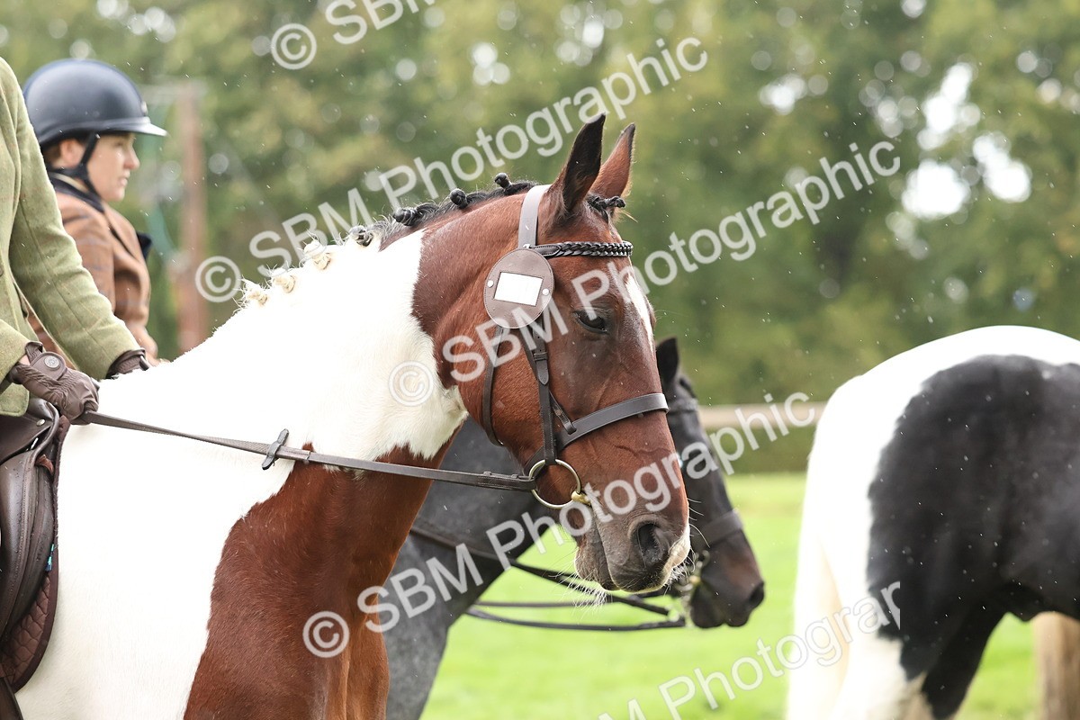 SBM_45030 - S27 - Young Veteran Ridden