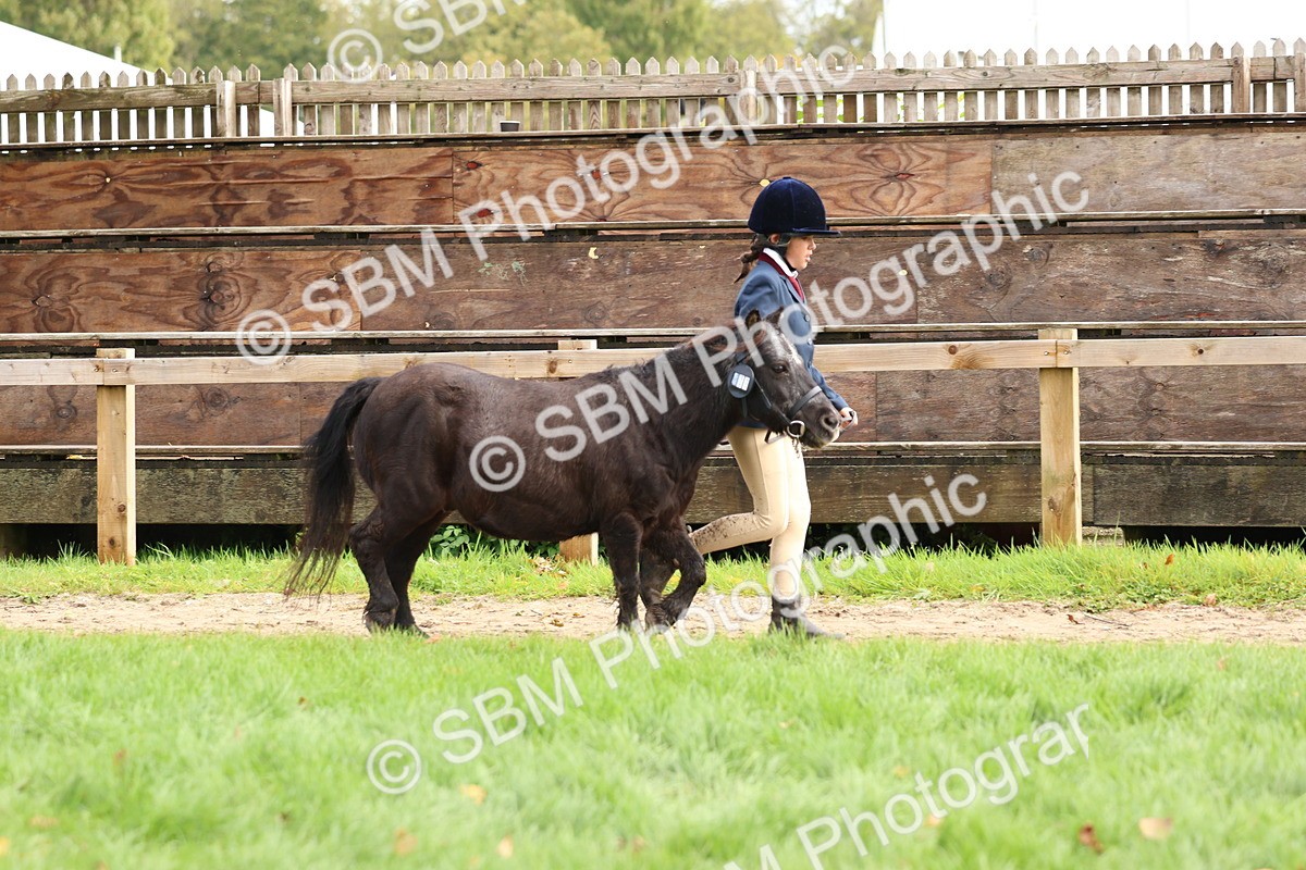 SBM_40721 - S25 -  Veteran In Hand