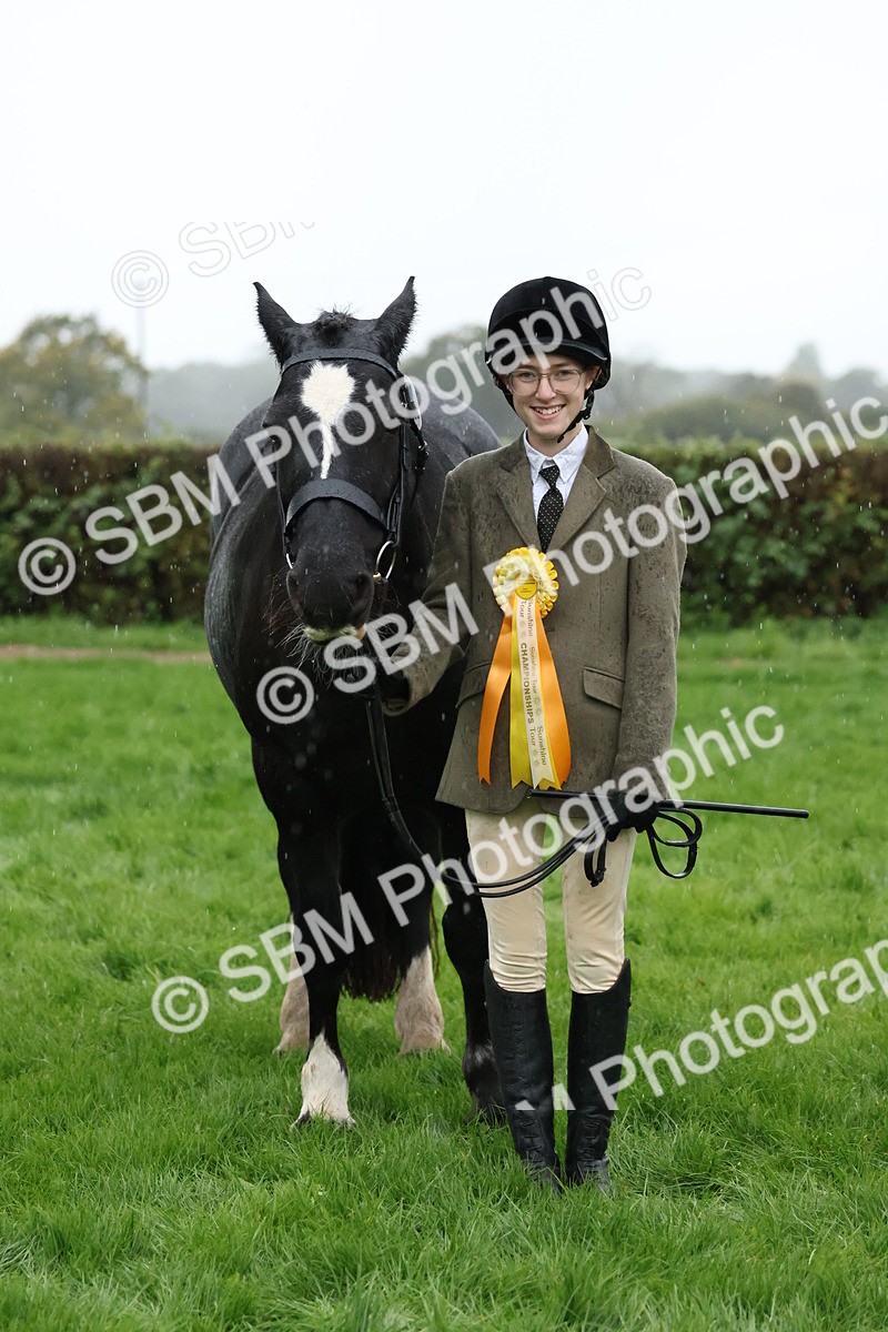 SBM_35377 - S10 - Best In Hand Horse & Pony