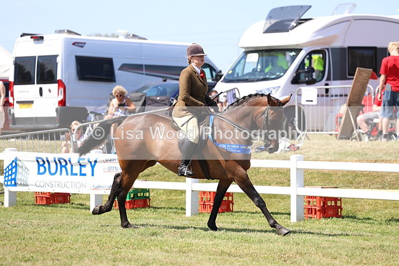 3E7A7652 - Rising Star Ridden Championship