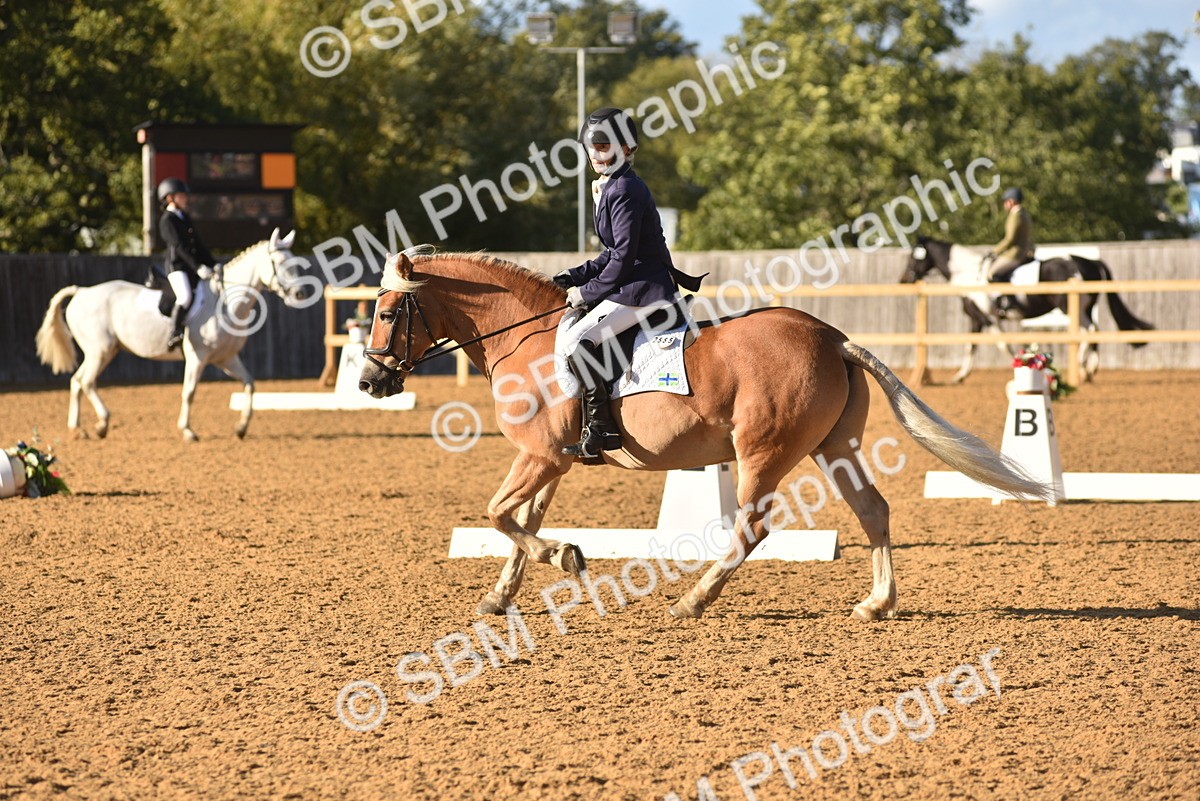 SBM_11408 - D28 - Elementary