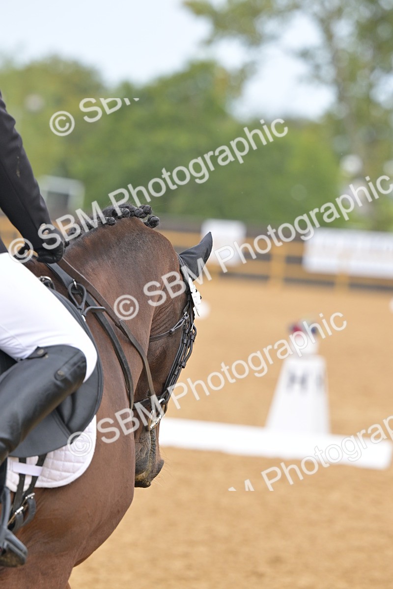 SBM_02302 - D2 - Small Tour Championship Intro 2