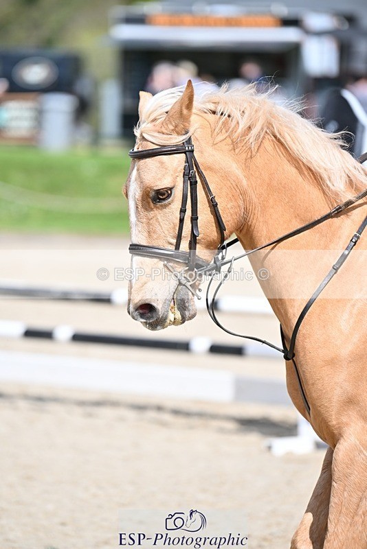 240413-121110-00877 - Cls 5+6 80cm Start to 1pm