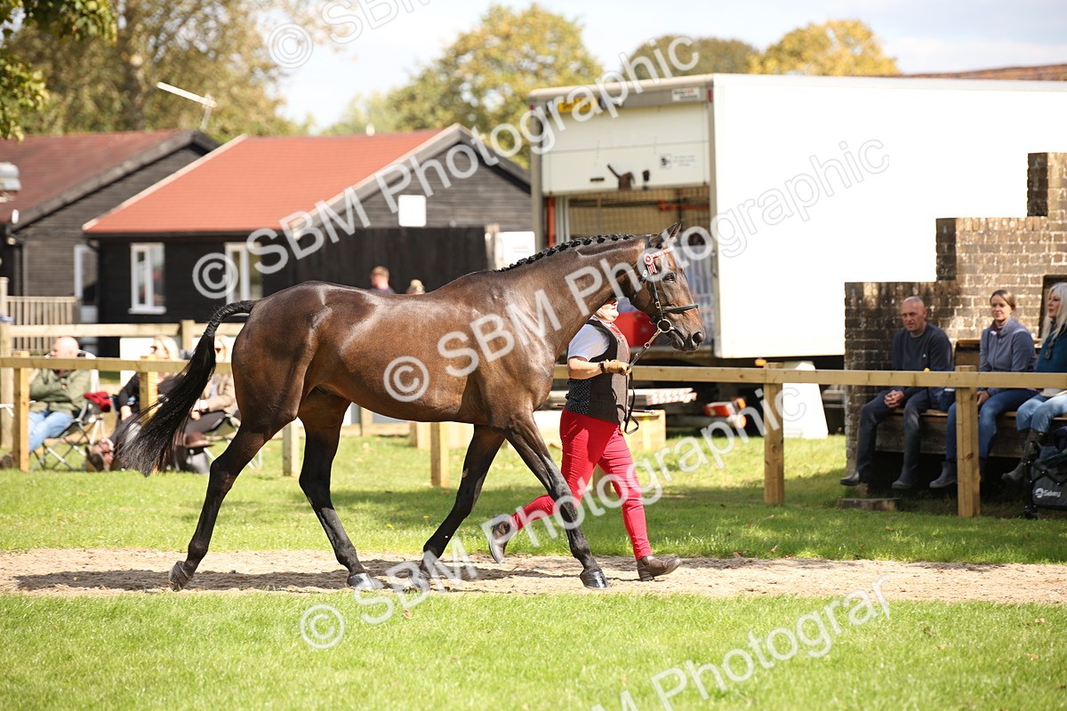 SBM_44375 - S24 - Young Veteran in hand