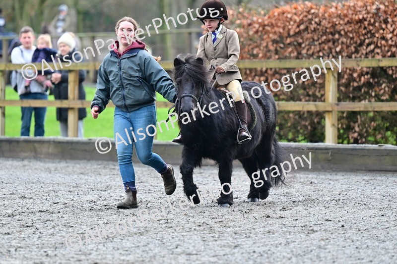 20260125-0980 - Class 9a - Walk Trot Assisted
