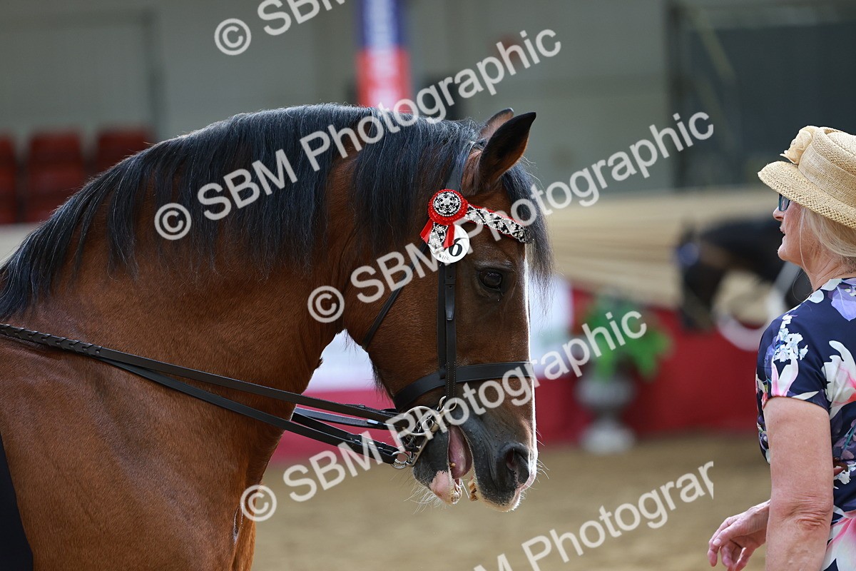 SBM_14798 - Class 107 - Ridden Costume - Astride Adult  (20+)