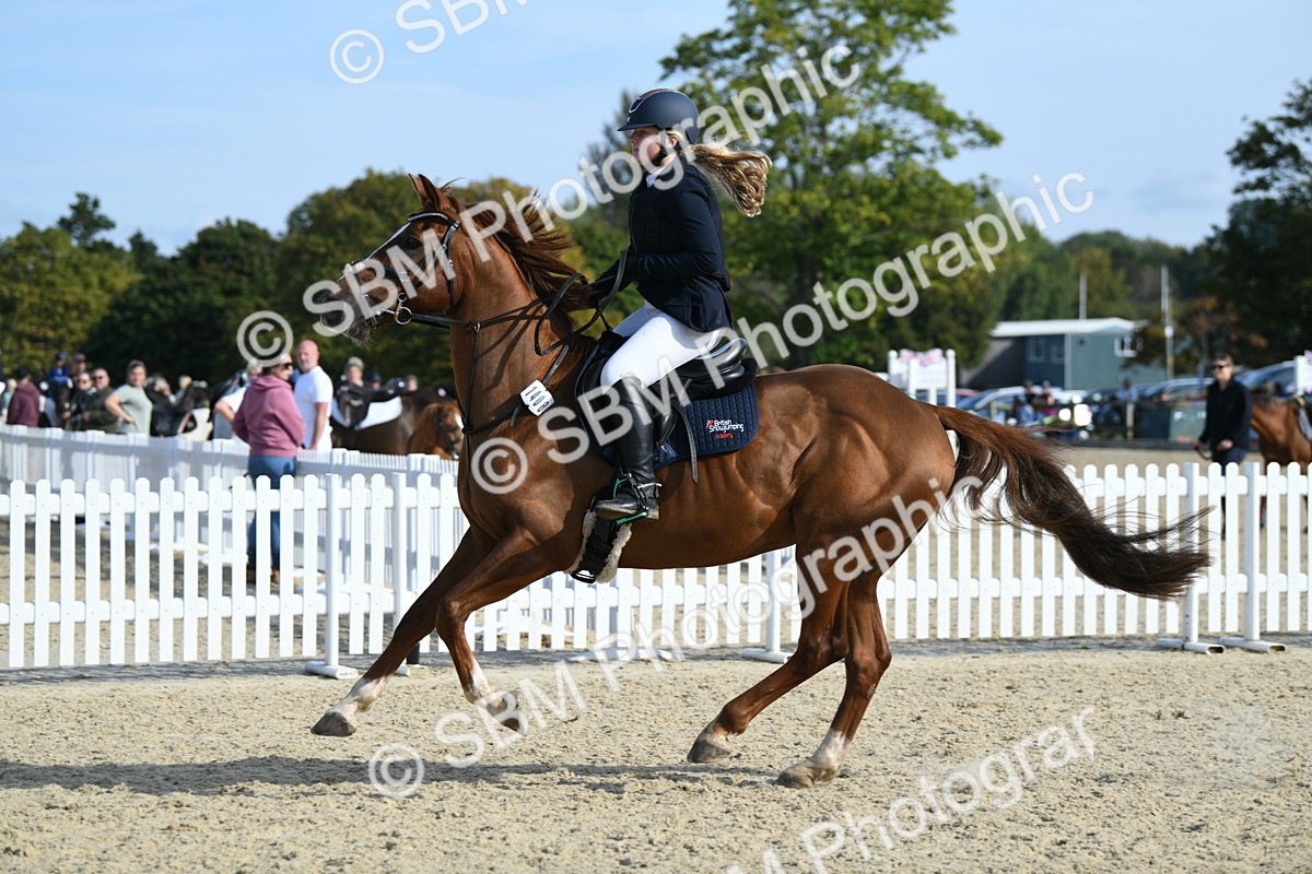 SBM_60713 - j25 - Junior Horse 80cm Championship