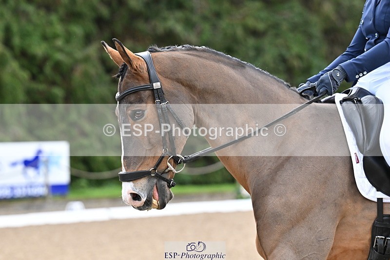 251023A-110554-01144 - C-226-Kate.Rowe