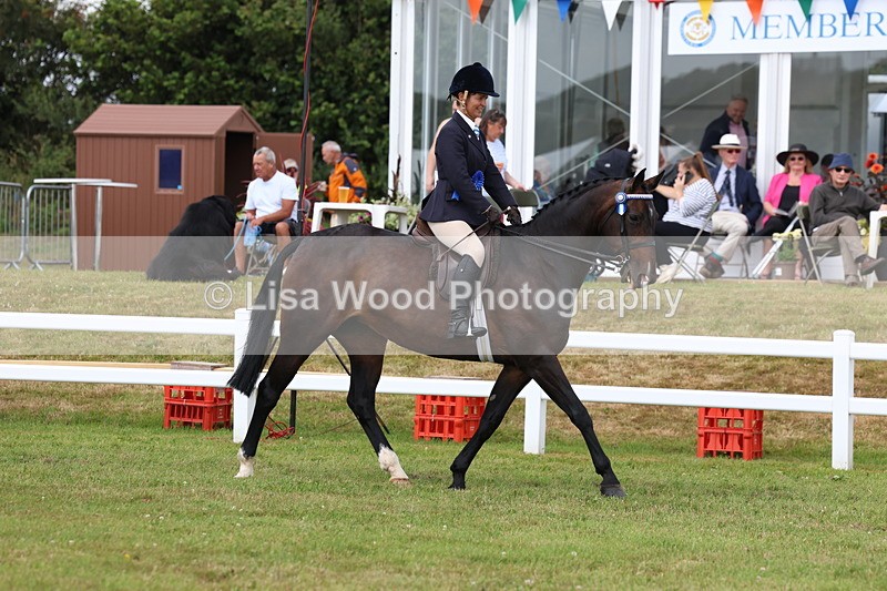 3E7A0464 - Rising Star Ridden Championship