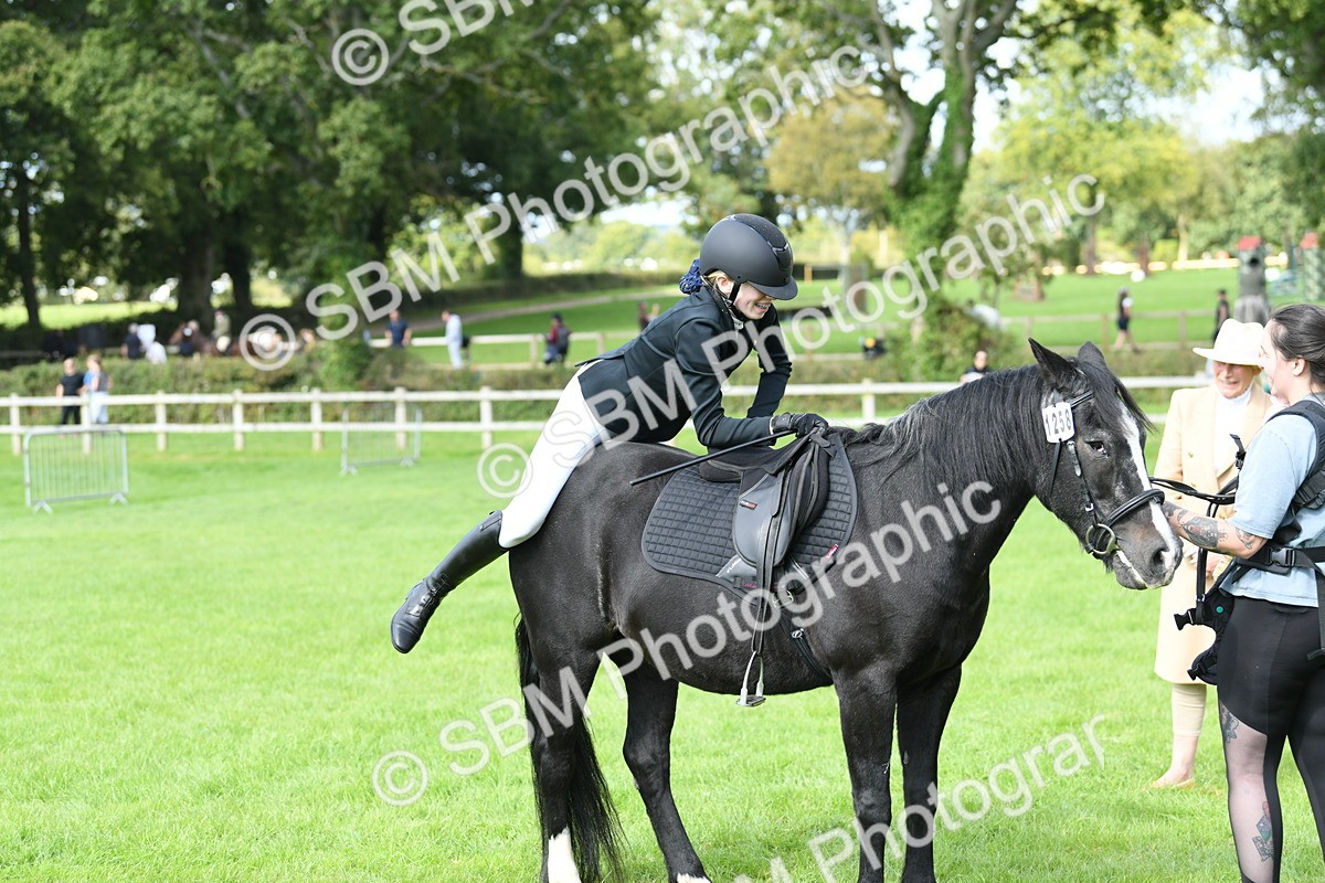 SBM_46846 - S12 - Family Horse & Pony