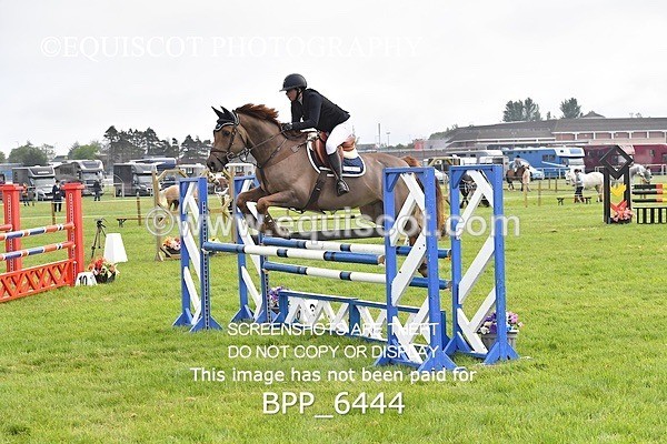 BPP_6444 - CLASS 1 Senior Newcomers/ 1.10m Open