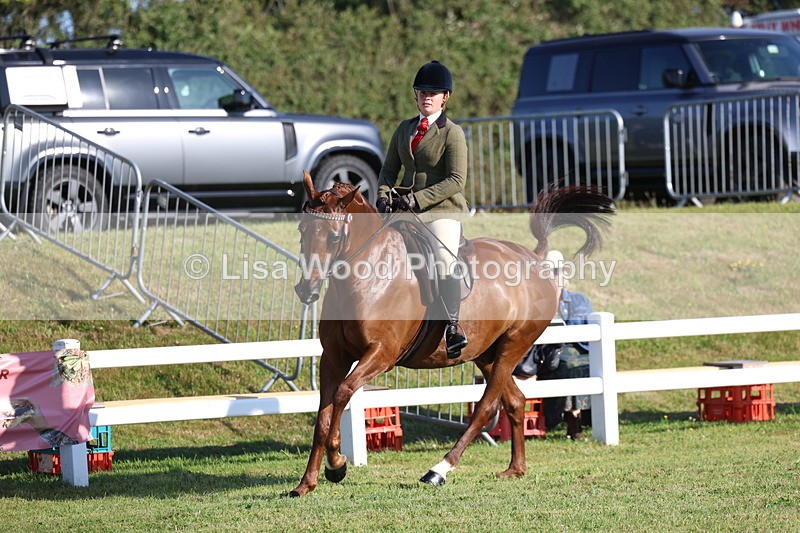 3E7A5072 - Class 1: Rising Star Small Hack/Riding Horses
